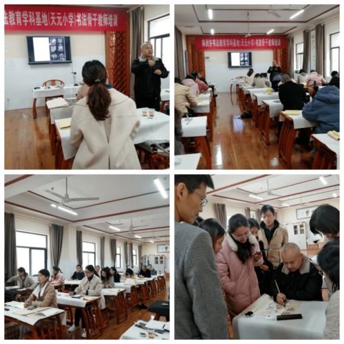 書法基地教培丨傳承經典 弘揚文化——株洲市義務教育階段書法教育學科基地第二期培訓紀實與項目研發展望