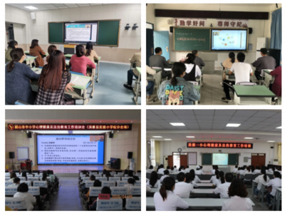 眉山市中小學(xué)心理健康與法治教育工作培訓(xùn)會(huì)圓滿舉行，夯實(shí)教育文化根基
